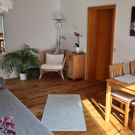Fewo Mein Panama Bernkastel-Kues Dış mekan fotoğraf